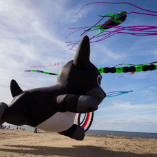 Giant black and white dog kite floating above Scheveningen beach