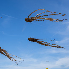Three brown octopus kites in a blue sky