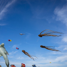 Octopus kites and other sea creatures in the sky over Scheveningen