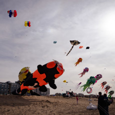 Big orange and black fish kite on the beach in Scheveningen