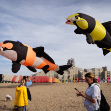 Orange and yellow fish kites flying over visitors on the beach