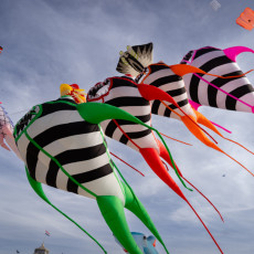 Striped kites with colourful tails at the Scheveningen kite festival