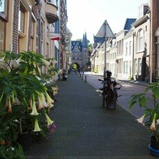 Hanseatic cities: Kampen 13