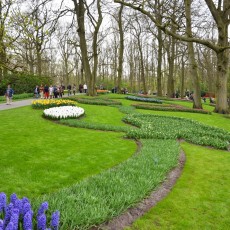 Visiting Keukenhof 01