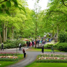 Visiting Keukenhof 03
