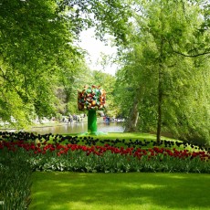 Visiting Keukenhof 11