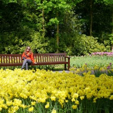 Visiting Keukenhof 15
