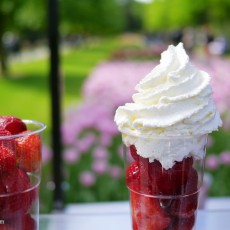 Visiting Keukenhof 16