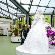 Keukenhof most beautiful garden 16