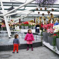 Keukenhof most beautiful garden 25