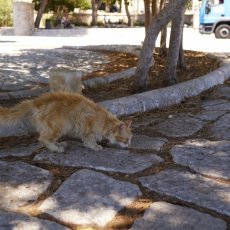 Santa Maria di Leuca 14
