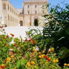 Santa Maria di Leuca 27