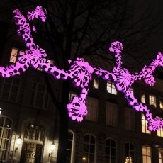Light Festival Amsterdam 26