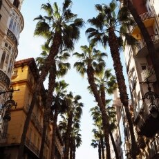 Málaga in February 01