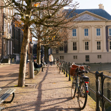 Mauritshuis museum 01