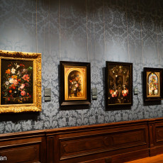 Mauritshuis museum 11