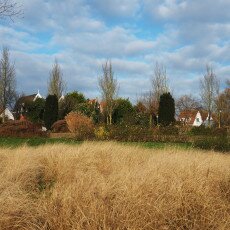 A walk in Medemblik 13