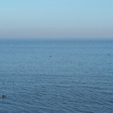 A walk in Medemblik 23