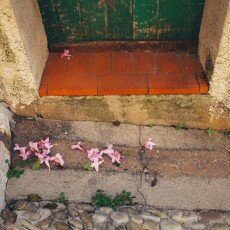 October in Menton, France  09