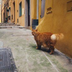 October in Menton, France 14