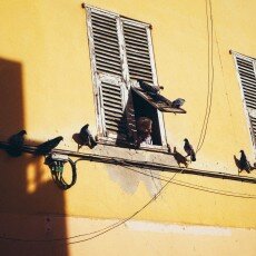 October in Menton, France 30
