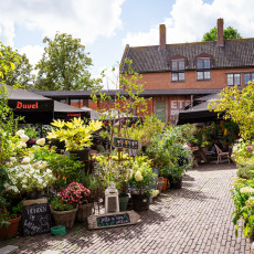 Middelburg Zeeland Jells Lunchcafé