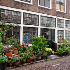 Middelburg Zeeland 14