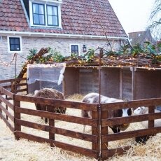 Midwinterfeest De Rijp 05