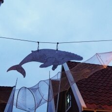 Midwinterfeest De Rijp 16