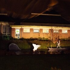 Midwinterfeest De Rijp 25