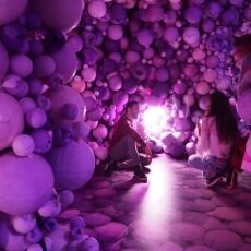 Moco Museum Amsterdam 27