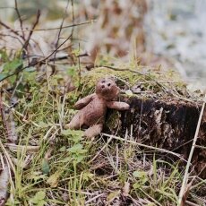 Abandoned teddy bear