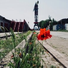 NDSM Wharf 13