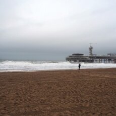 New Year's Dive Scheveningen 06