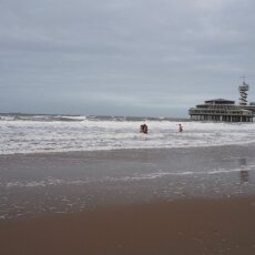 New Year's Dive Scheveningen 24