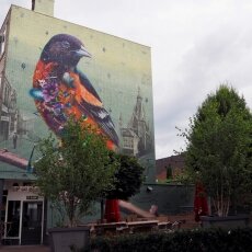 Day-trip to Nijmegen 03