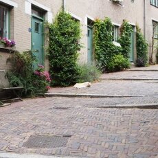 Day-trip to Nijmegen 21