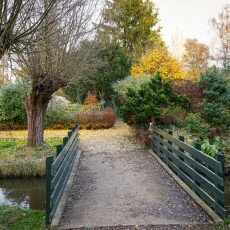 November in Frankendael Park 05