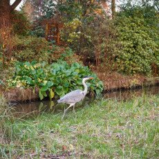 November in Frankendael Park 14
