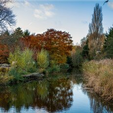 November in Frankendael Park 08