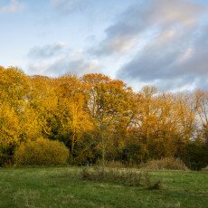 November in Frankendael Park 15