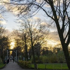 November in Frankendael Park 16