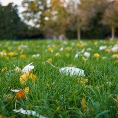 November in Frankendael Park 19