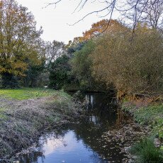 November in Frankendael Park 18