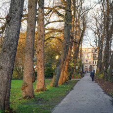 November in Frankendael Park 21