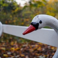 November in Frankendael Park 26