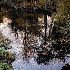 November in Frankendael Park 29
