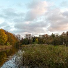 November in Frankendael Park 32