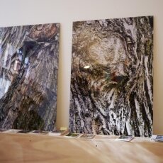 Open Ateliers Nieuwmarkt 19