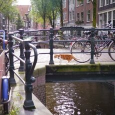 Open Ateliers Nieuwmarkt 23